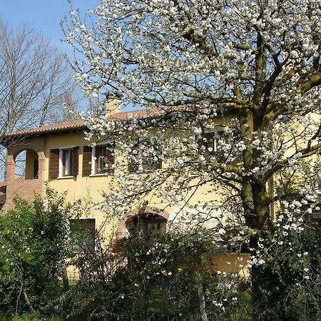 B&B Ai Ciliegi Mogliano Veneto Εξωτερικό φωτογραφία