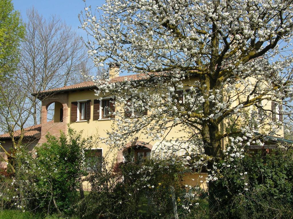 B&B Ai Ciliegi Mogliano Veneto Εξωτερικό φωτογραφία
